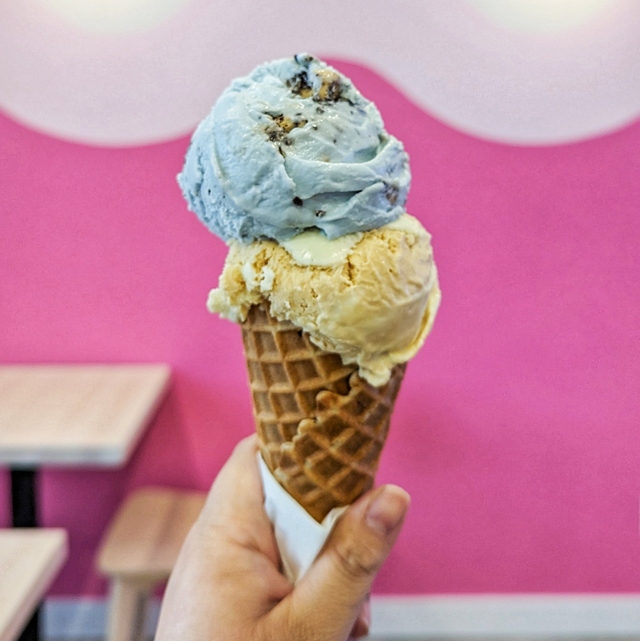 YEG's Newest Ice Cream Shop!